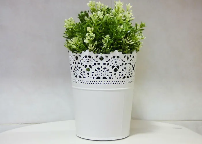 Teror Playa Apartament *