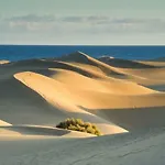 Teror Playa شقة